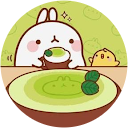 Green Tea Latte Green Tea Latte